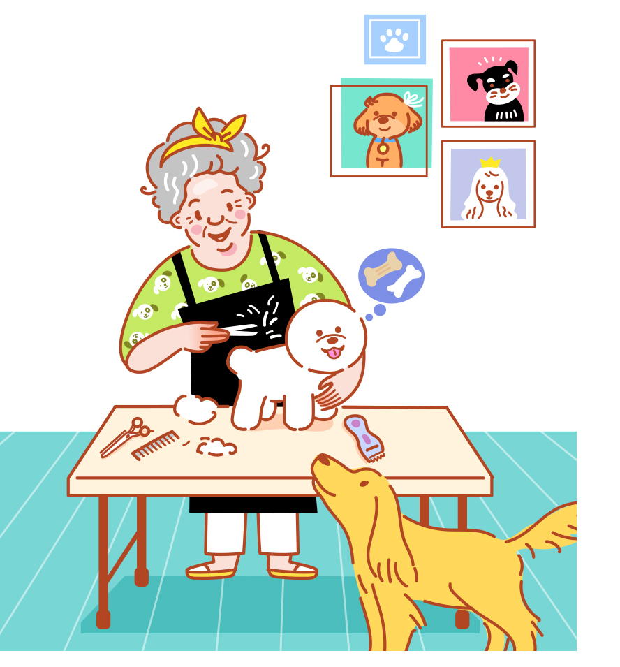 신중년 일자리 시리즈 - 새로운 신중년 일자리로 떠오른 ‘애견미용사’