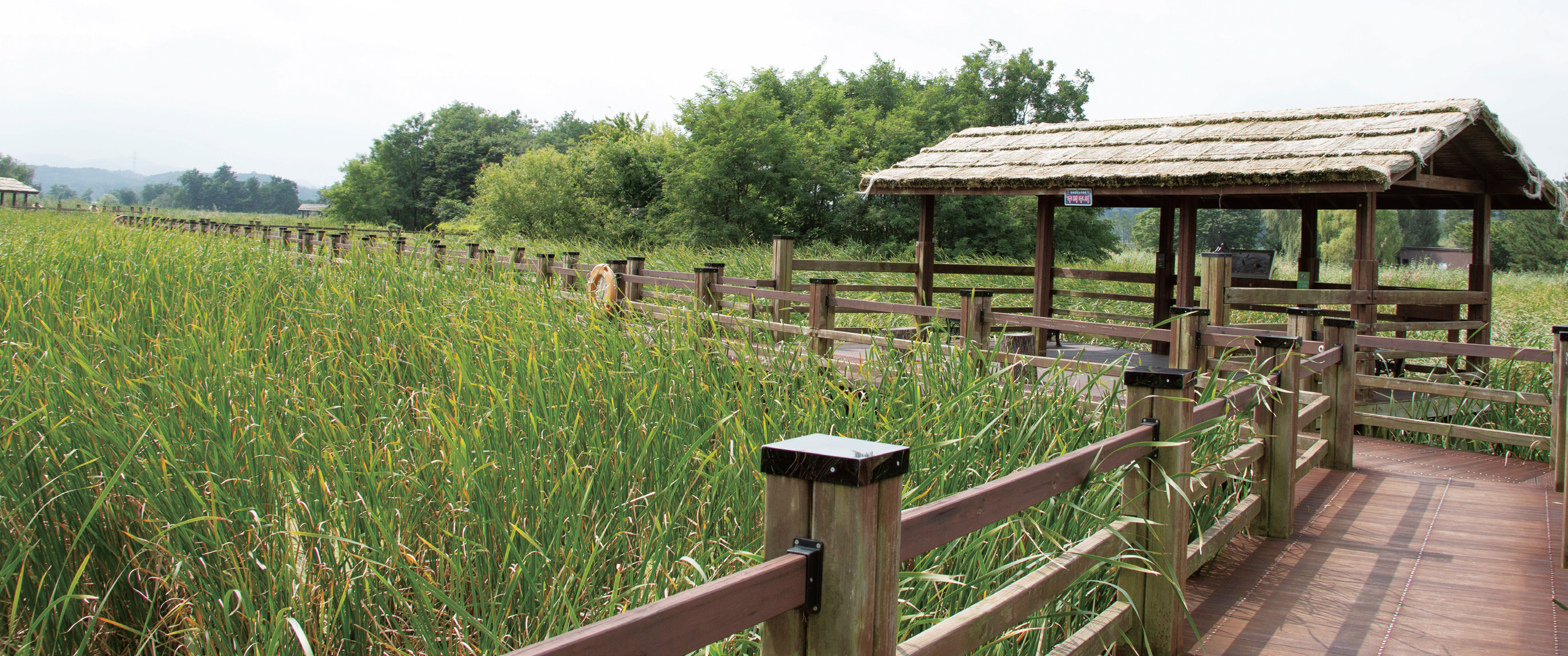 자연과 사람이 함께하는 도심 속 휴식 공간