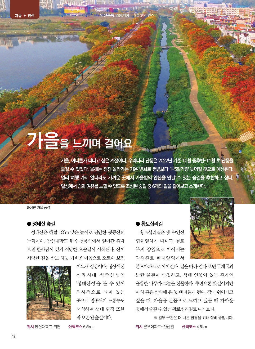 가을을 느끼며 걸어요