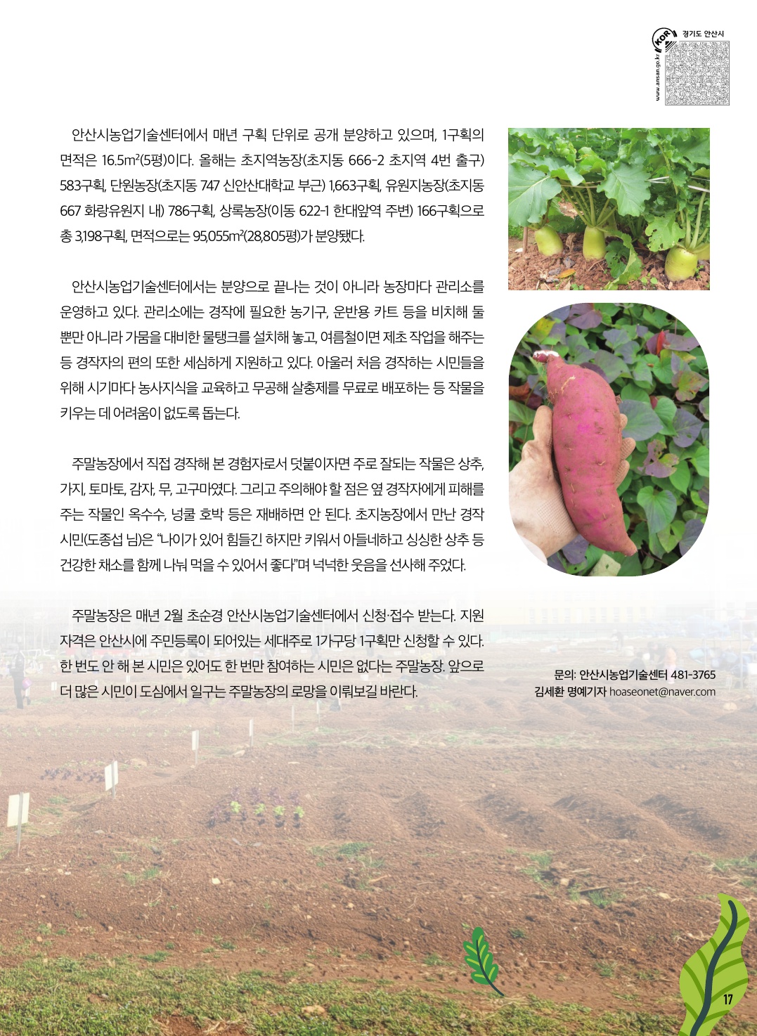 도시에서 일구는 주말농장