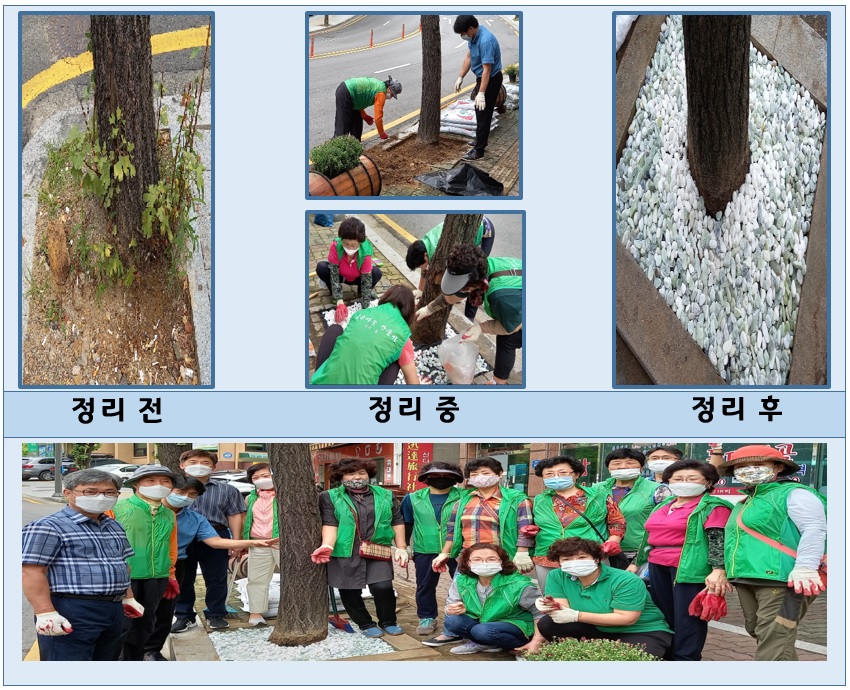 안산시 원곡동 직능단체, 원곡로 주변 가로수 정비