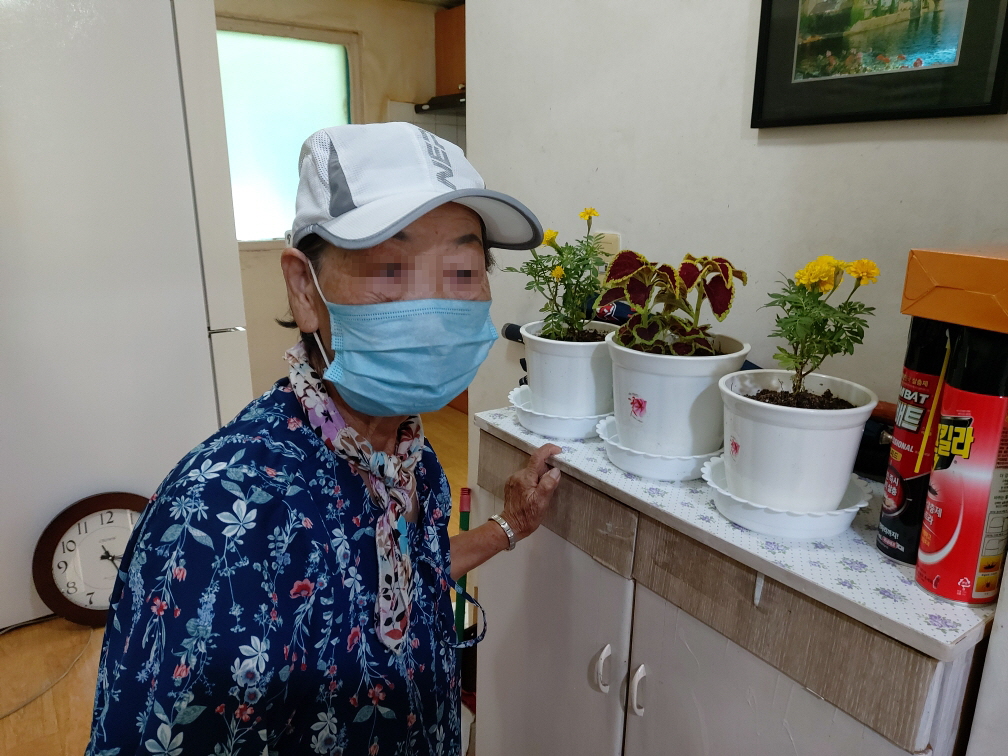 안산시 선부3동, 독거 어르신에 청렴 화분 전달