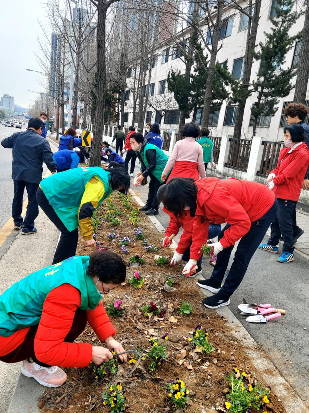 안산시 선부1동, 직능단체와 새봄맞이 화사한 봄꽃 식재