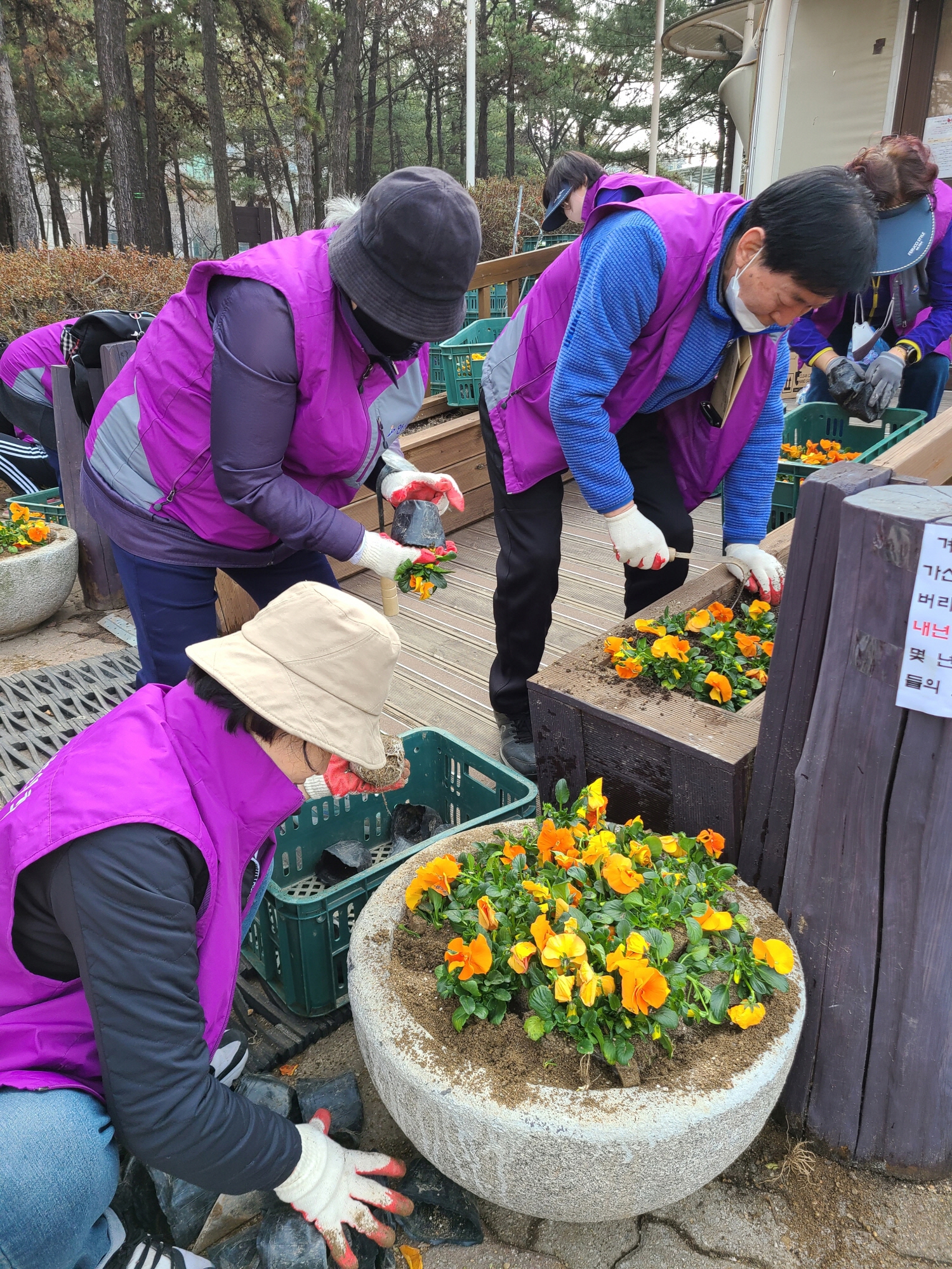 안산시 와동, 봄맞이 환경정화활동 및 봄꽃 식재