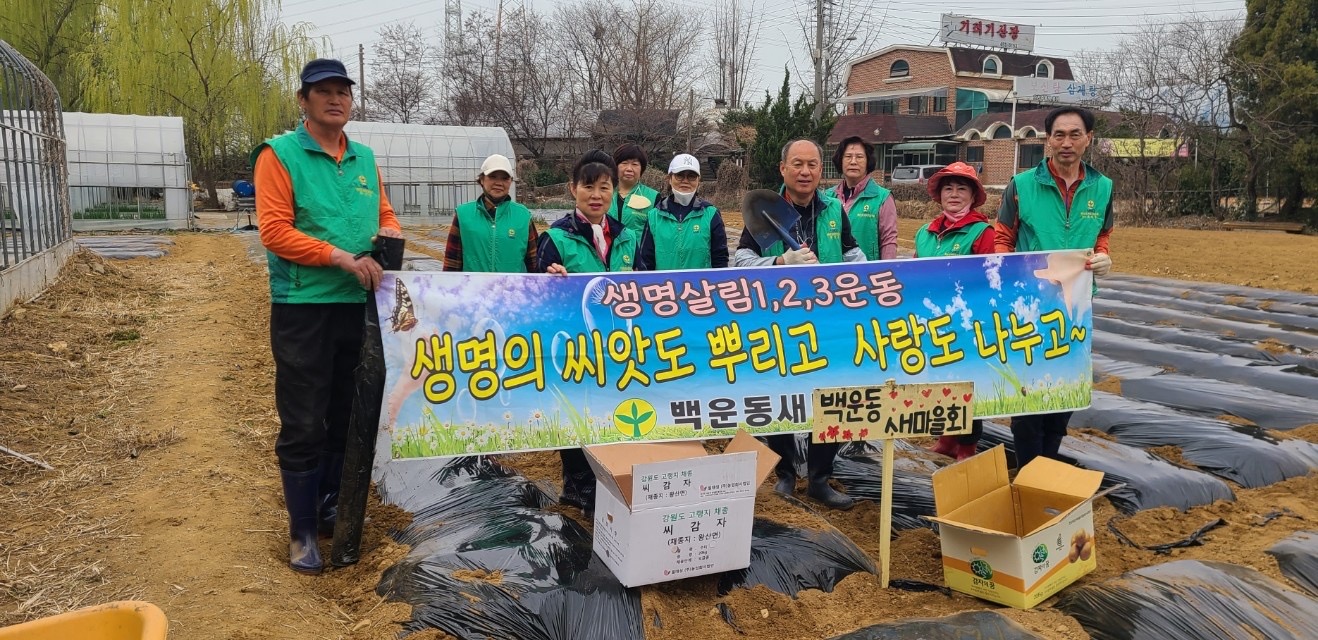 안산시 백운동 새마을회, 사랑나눔 씨감자 파종