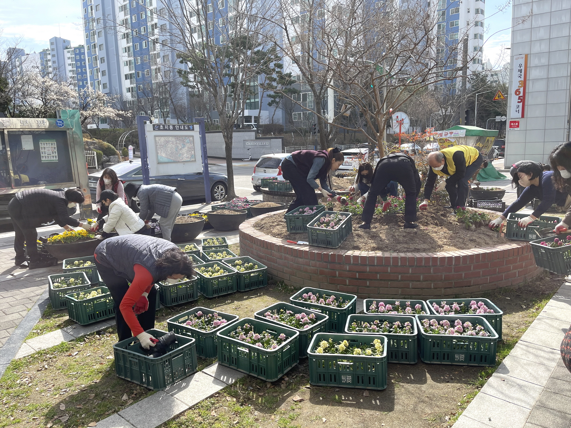 안산시 초지동, 봄내음 가득한 꽃 식재로 새봄 맞아