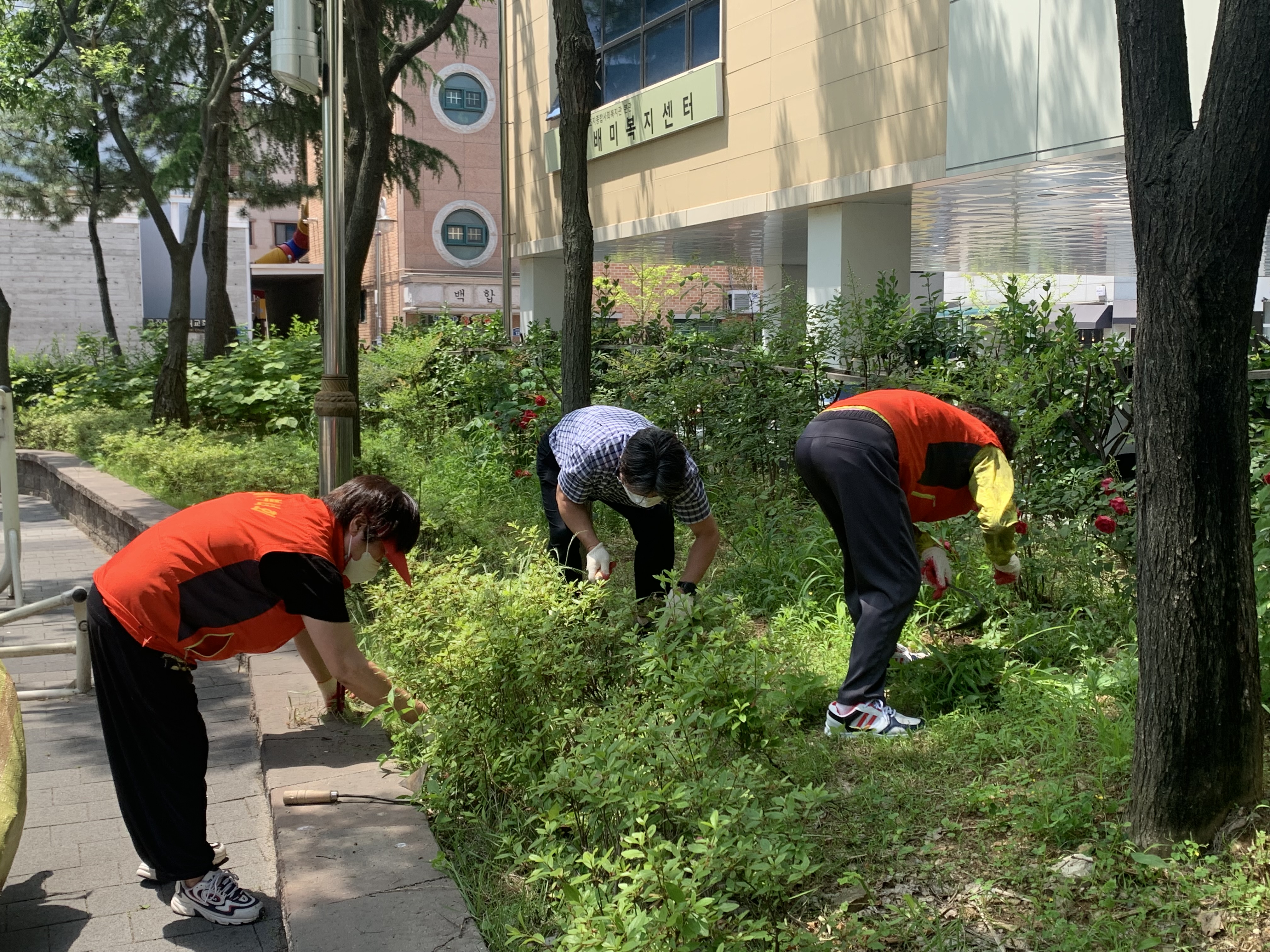 안산시 초지동 둔배미마을 파도정원 정비