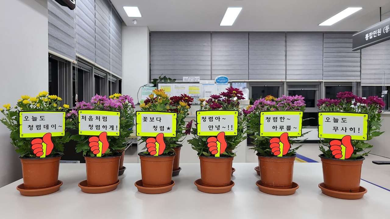 안산시 단원구 고잔동, 청렴의지 담은 국화꽃 선봬