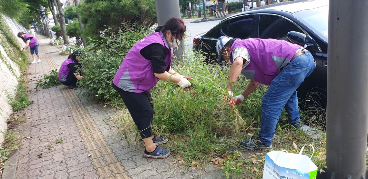 안산시 선부2동, 추석맞이 잡초제거·대청소 펼쳐