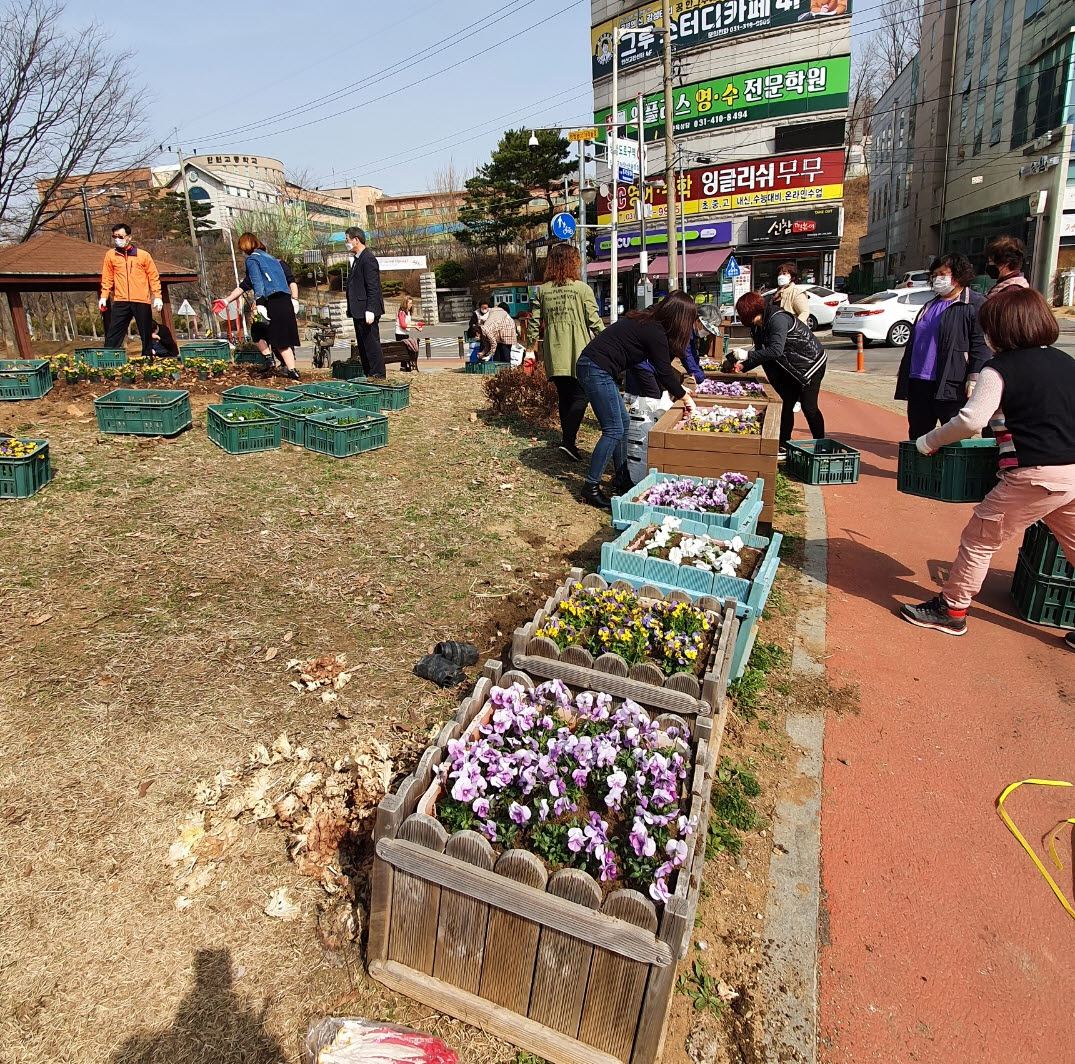 고잔동, 봄향기 가득 소생길~단원로 꽃구경 오세요.