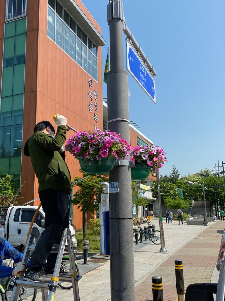 꽃내음 가득한 원곡동, 함께 걸어 볼까요~