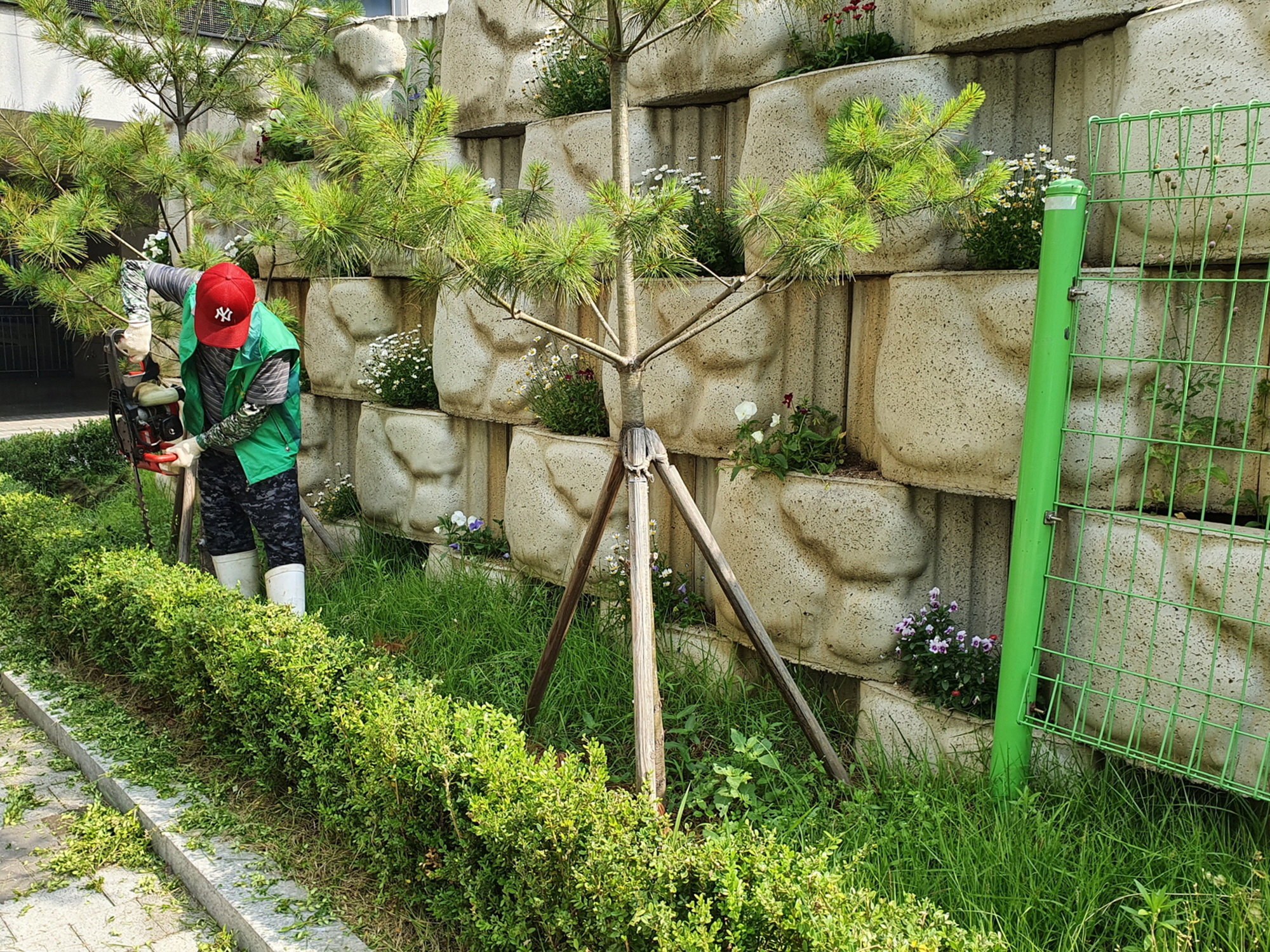 안산시 백운동 새마을회, 청사 주변 제초작업에 구슬땀