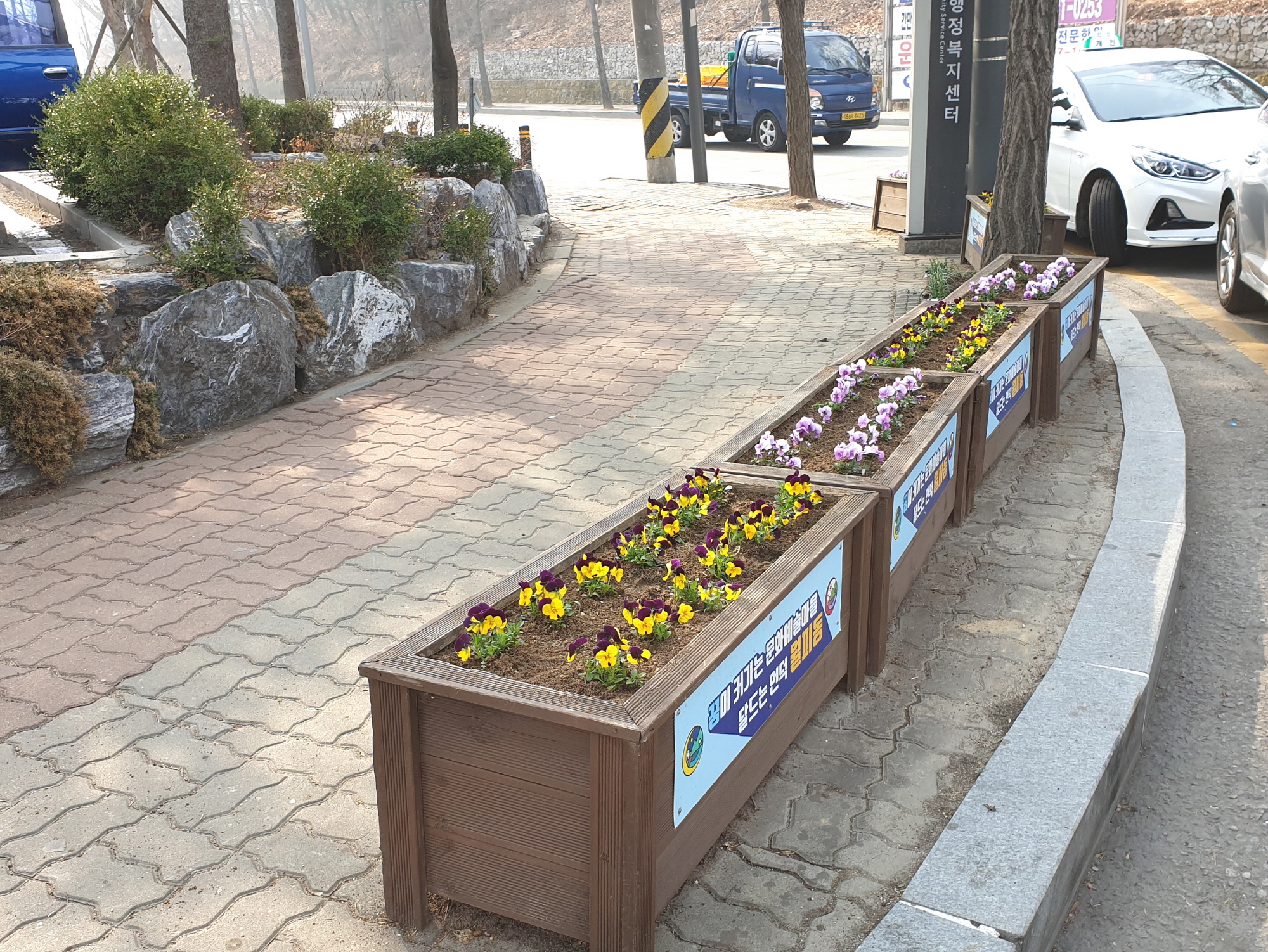 월피동에서 봄날의 싱그러움 만끽하세요!!