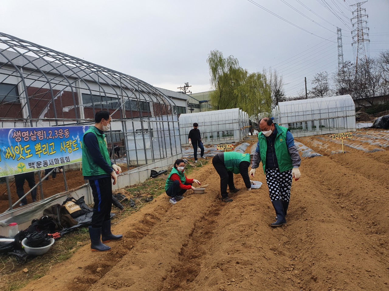 안산시 백운동 새마을회, 2021년 사랑愛감자 심기 추진