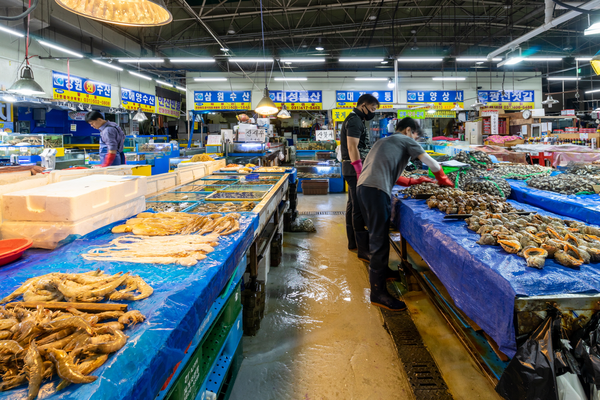 안산농수산물도매시장, ‘우수 수산물도매시장’ 선정