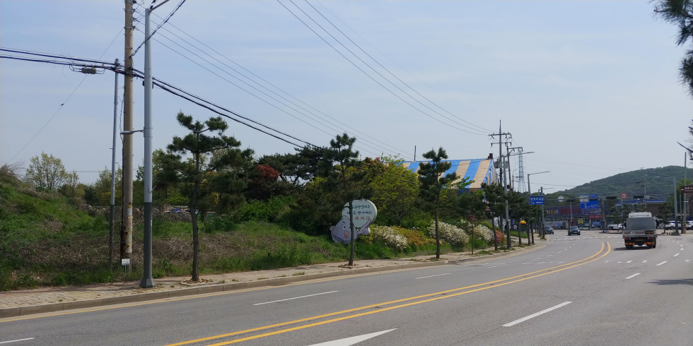 안산시, ‘불법현수막 없는 대부도’ 만든다