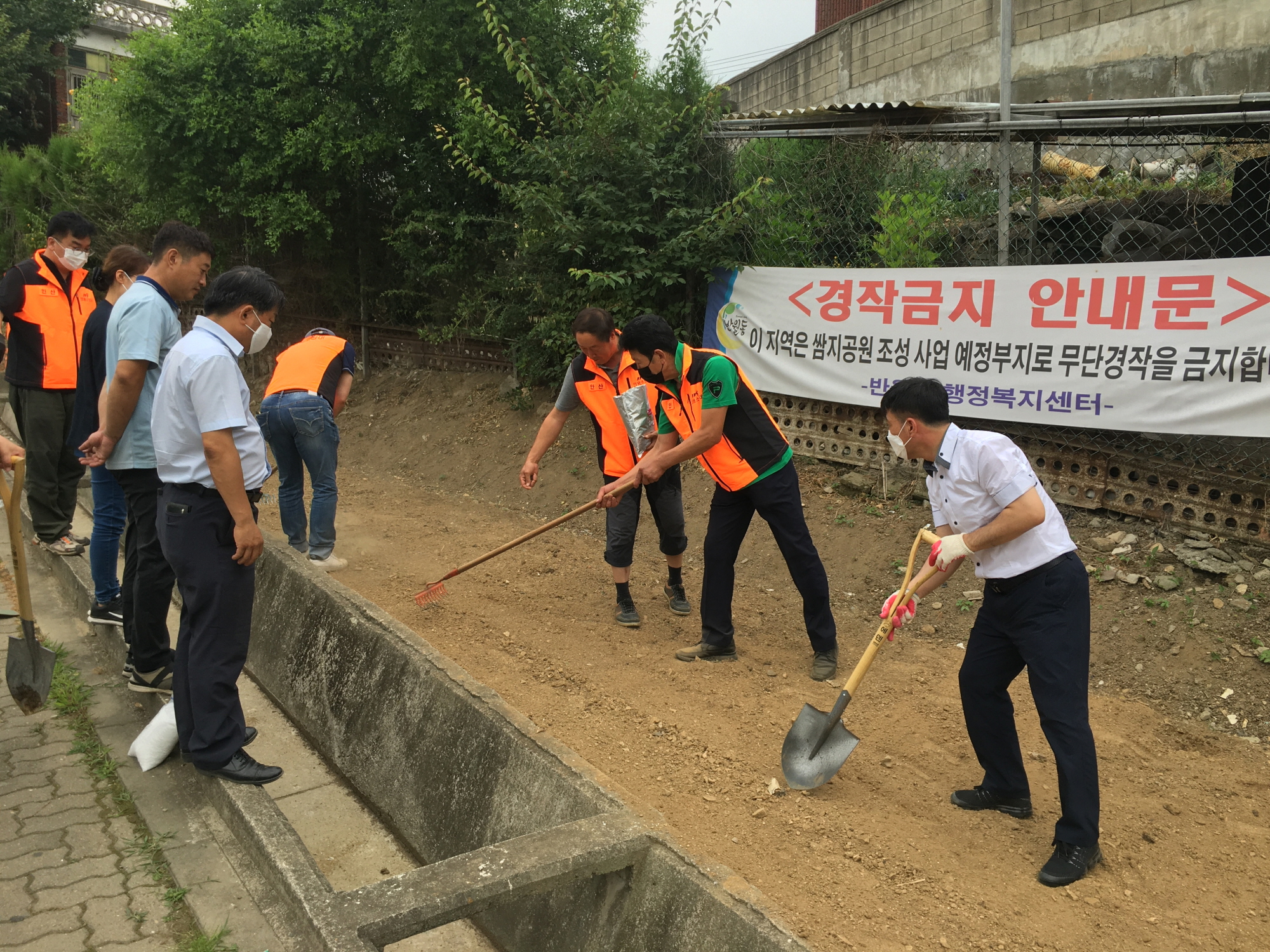 안산시 반월동, 힐링~코스모스 화단 조성