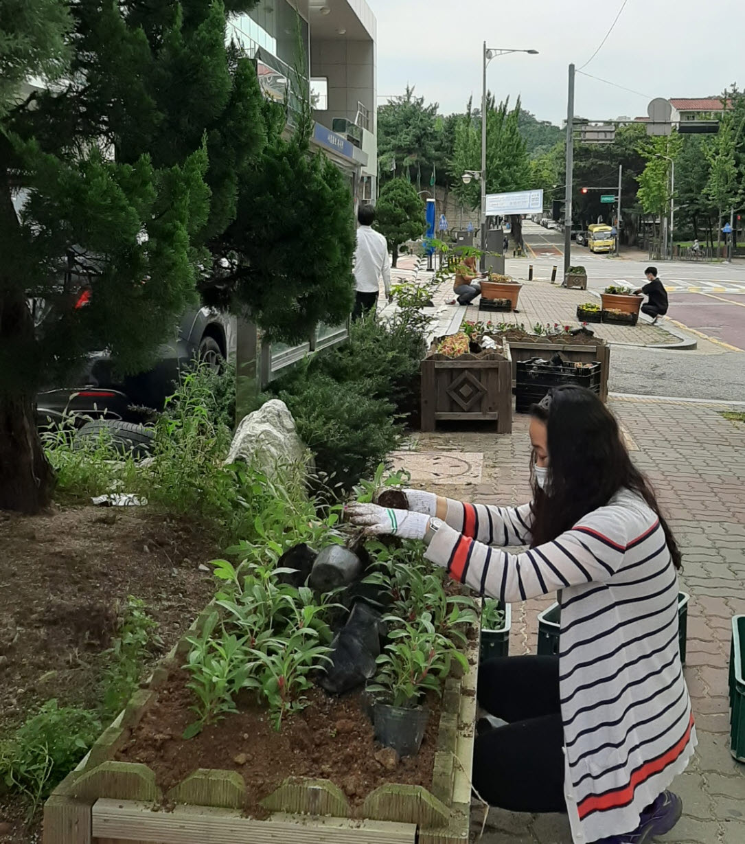 선부1동, “가을꽃 보며 코로나19로 지친 마음 달래세요”