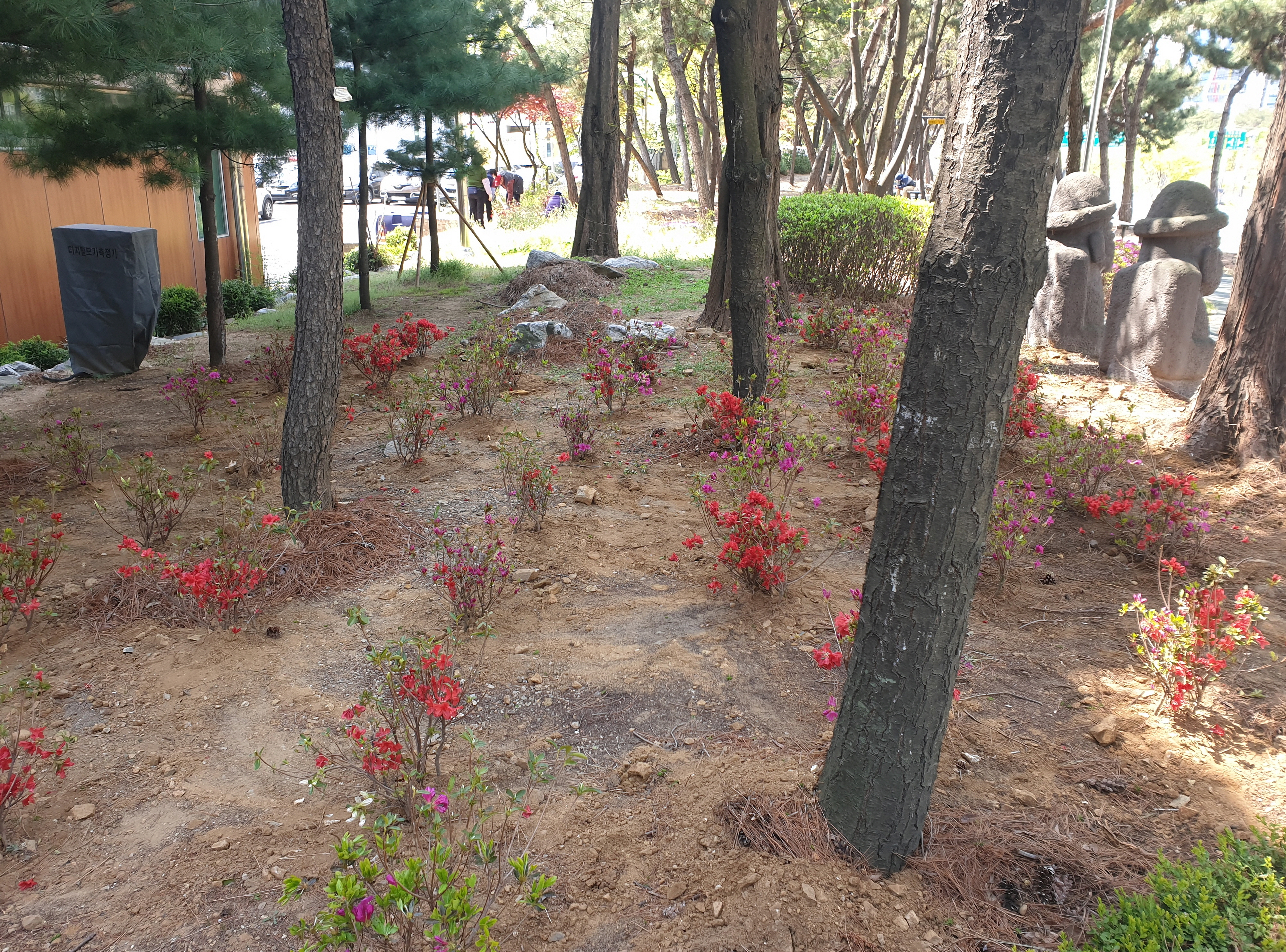 글로벌 원곡동 도시 숲 조성으로 볼거리 제공