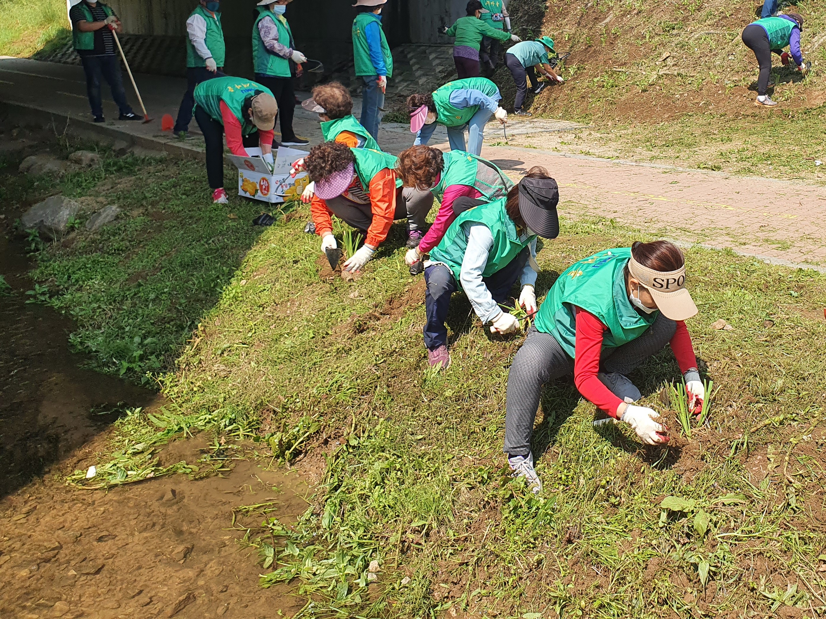 안산시새마을회, 아름다운 꽃길 가꾸기 앞장