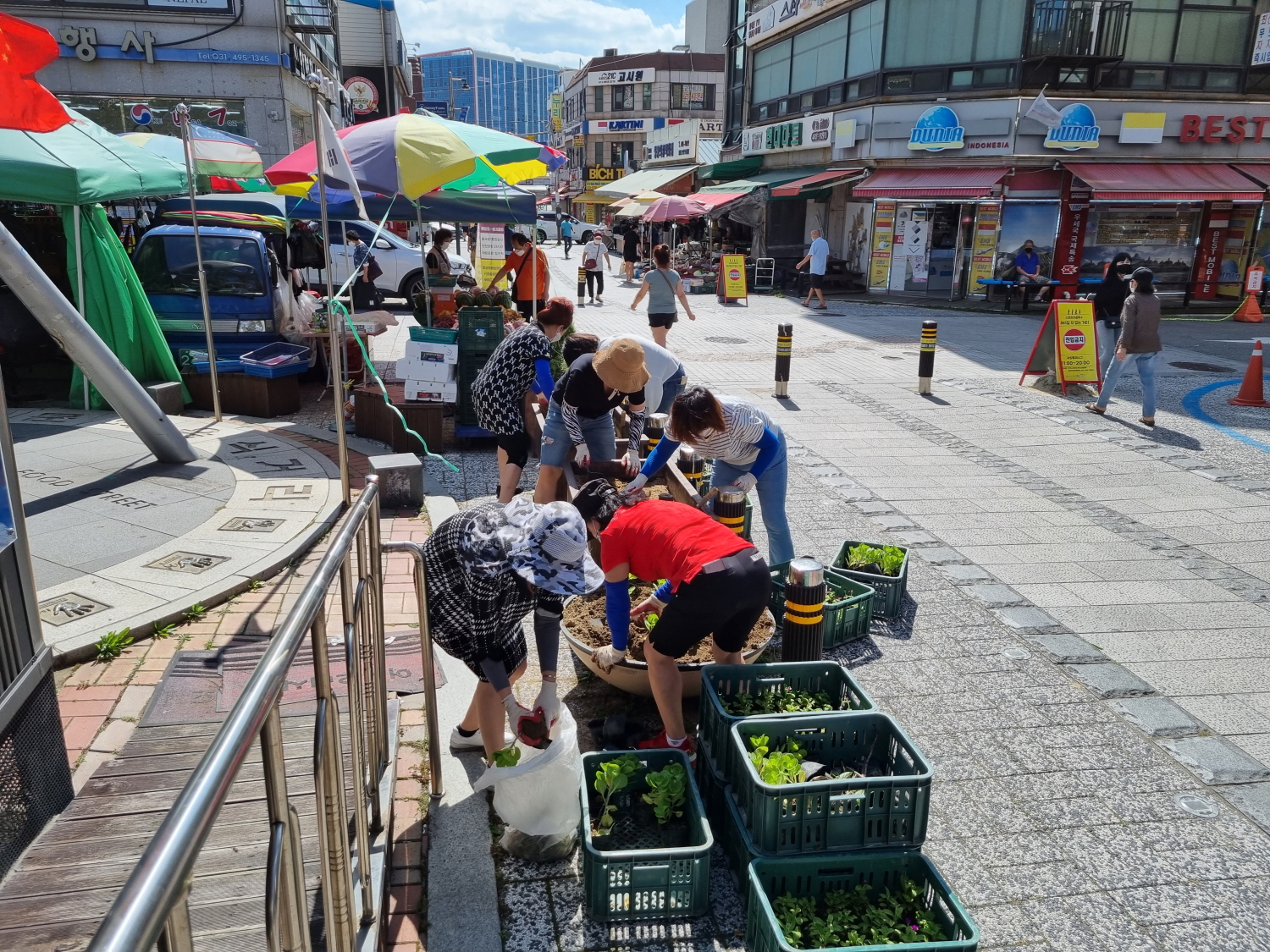 가을꽃 향기 가득한 원곡동