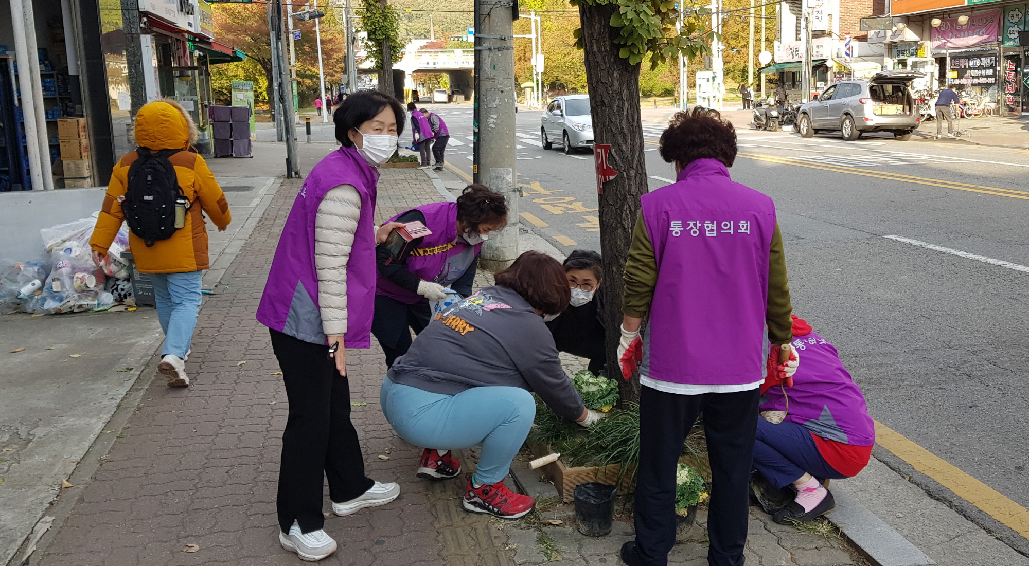안산시 이동, 주민과 함께 가로수 화단 재정비