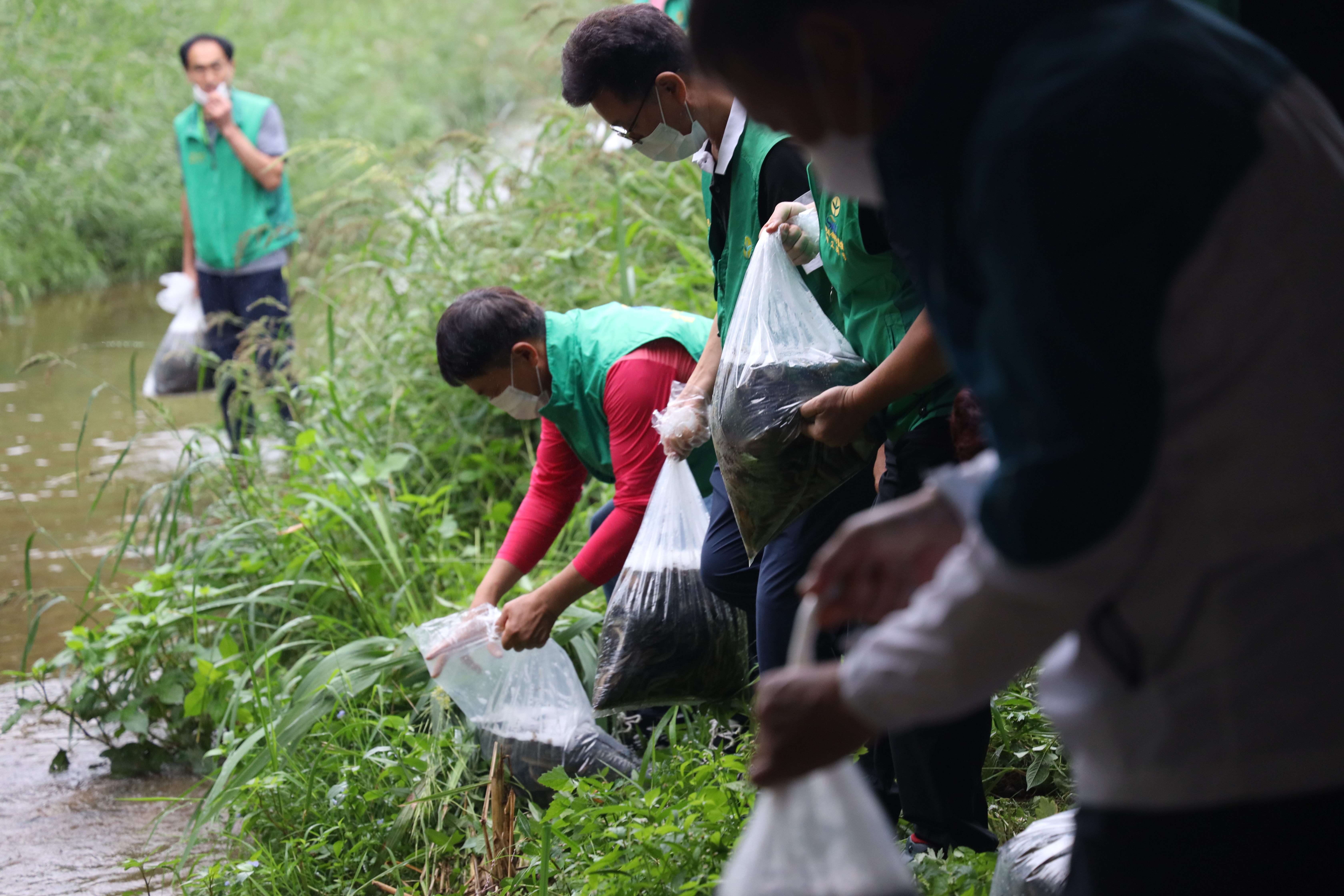 안산시 새마을회, 자연형 생태하천 복원운동