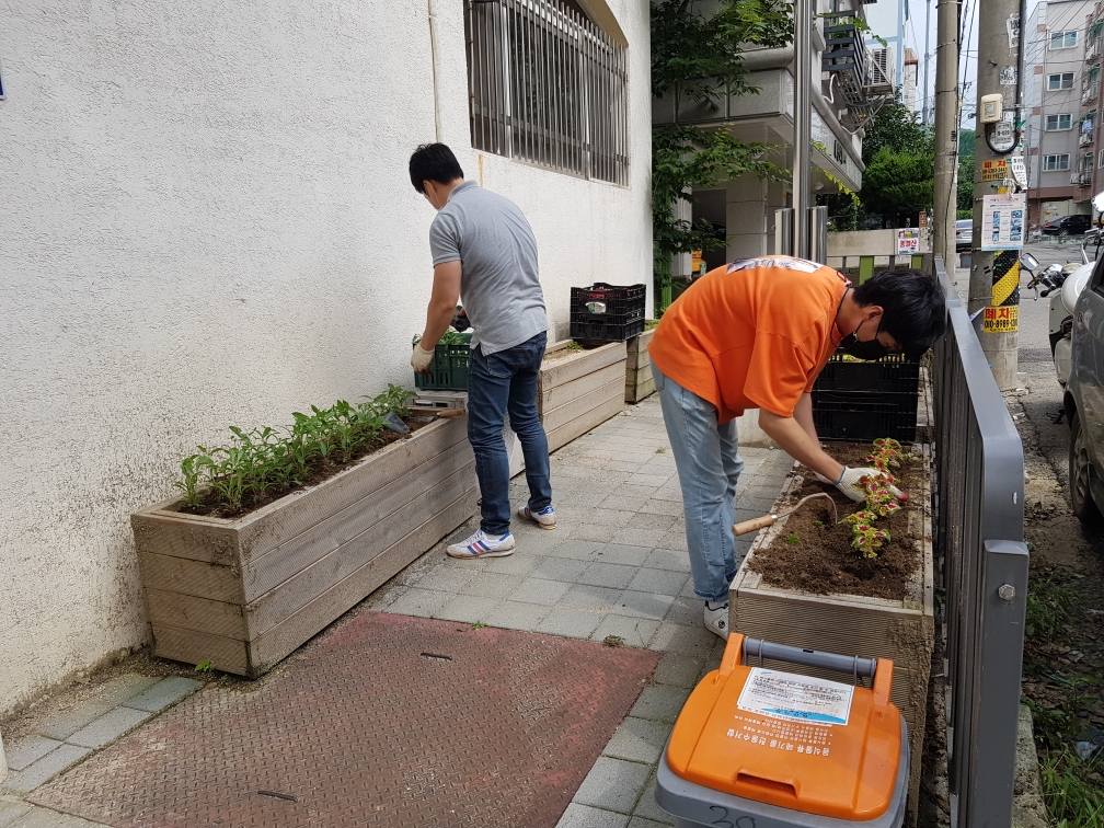 안산시 부곡동, “얘들아! 가을꽃 만발한 학교 가자~”