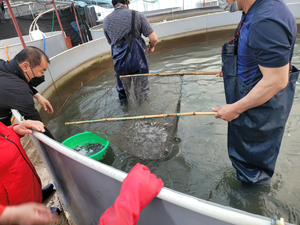 안산시, 수산자원 회복 위한 해면수산자원 조성사업 추진