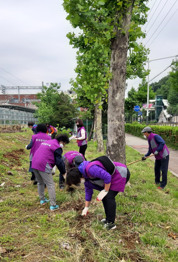 이동통장협의회, 한대앞역 유휴부지에 코스모스 씨앗 파종