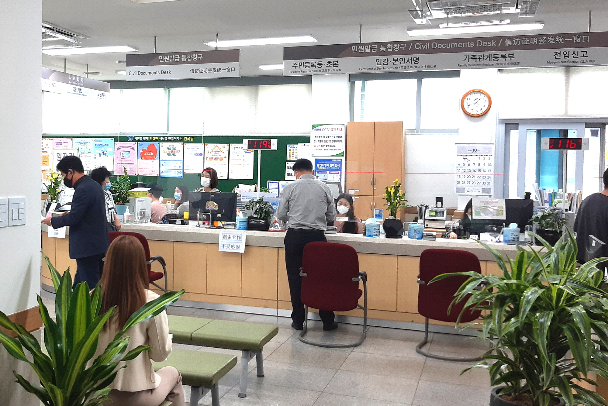 안산시 원곡동, 가을꽃으로 쾌적한 민원실 환경 조성