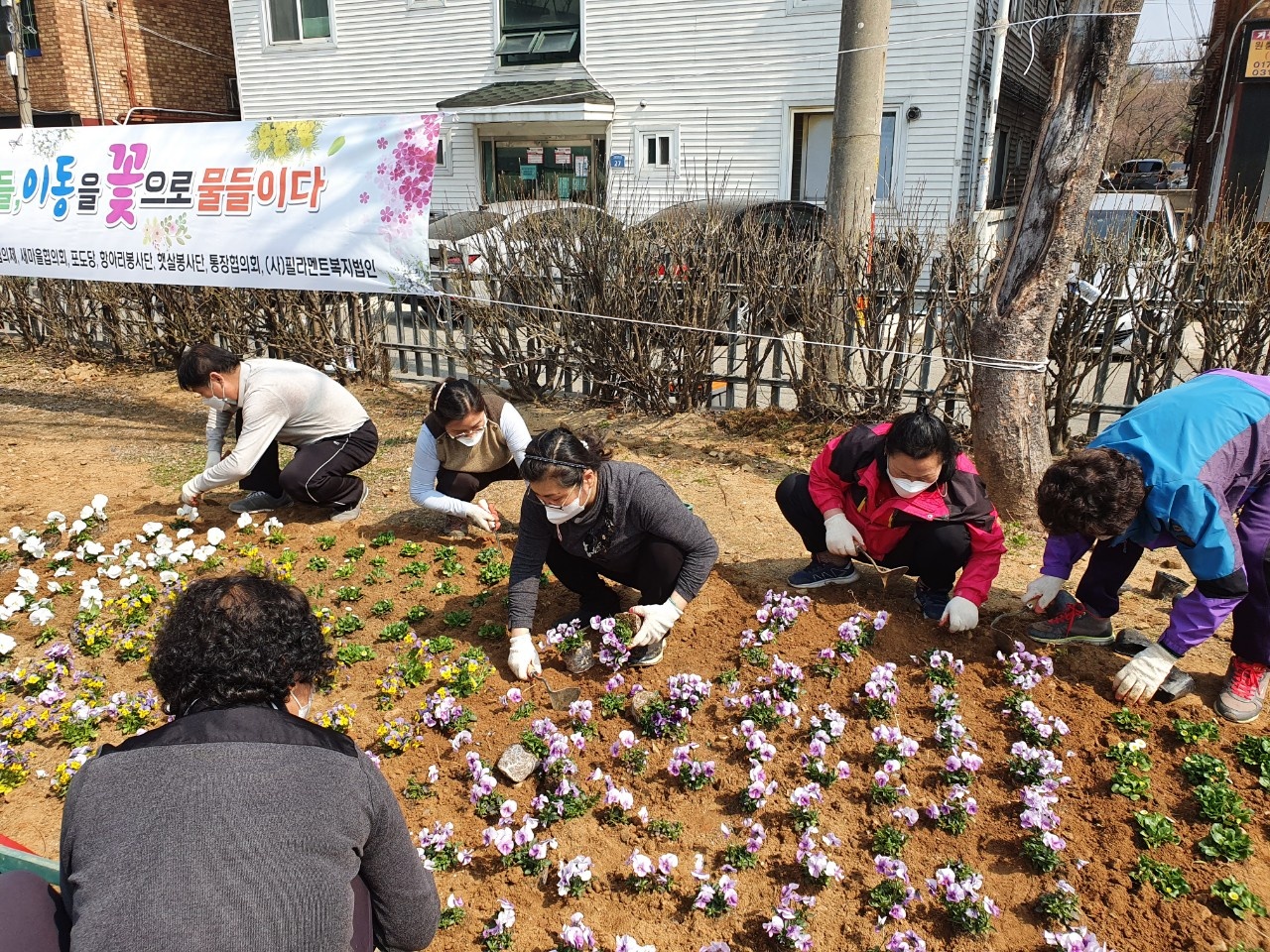 안산시 이동, “우리동네 봄꽃으로 물들였어요”