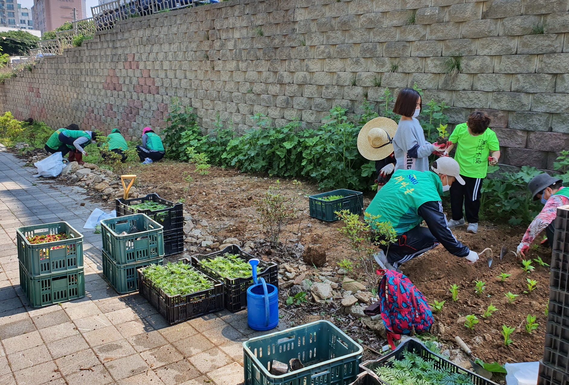 안산동 새마을지도자협의회,  수인산업도로변 쌈지화단에 초화류 식재