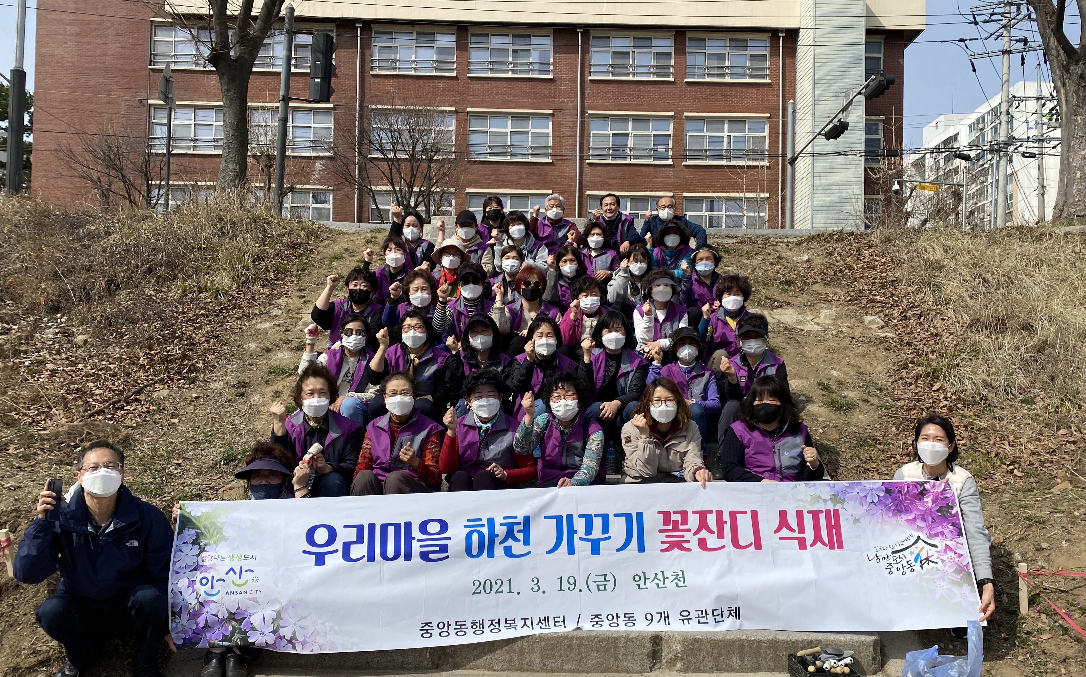 안산시 중앙동, 안산천변에 꽃잔디 식재