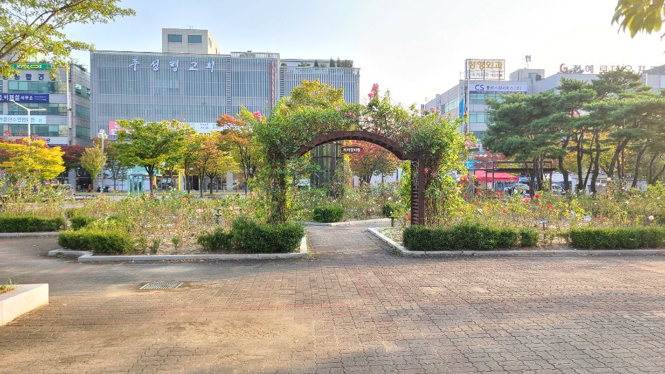 안산시 단원구, 중앙역 일대 가을꽃 화단 조성