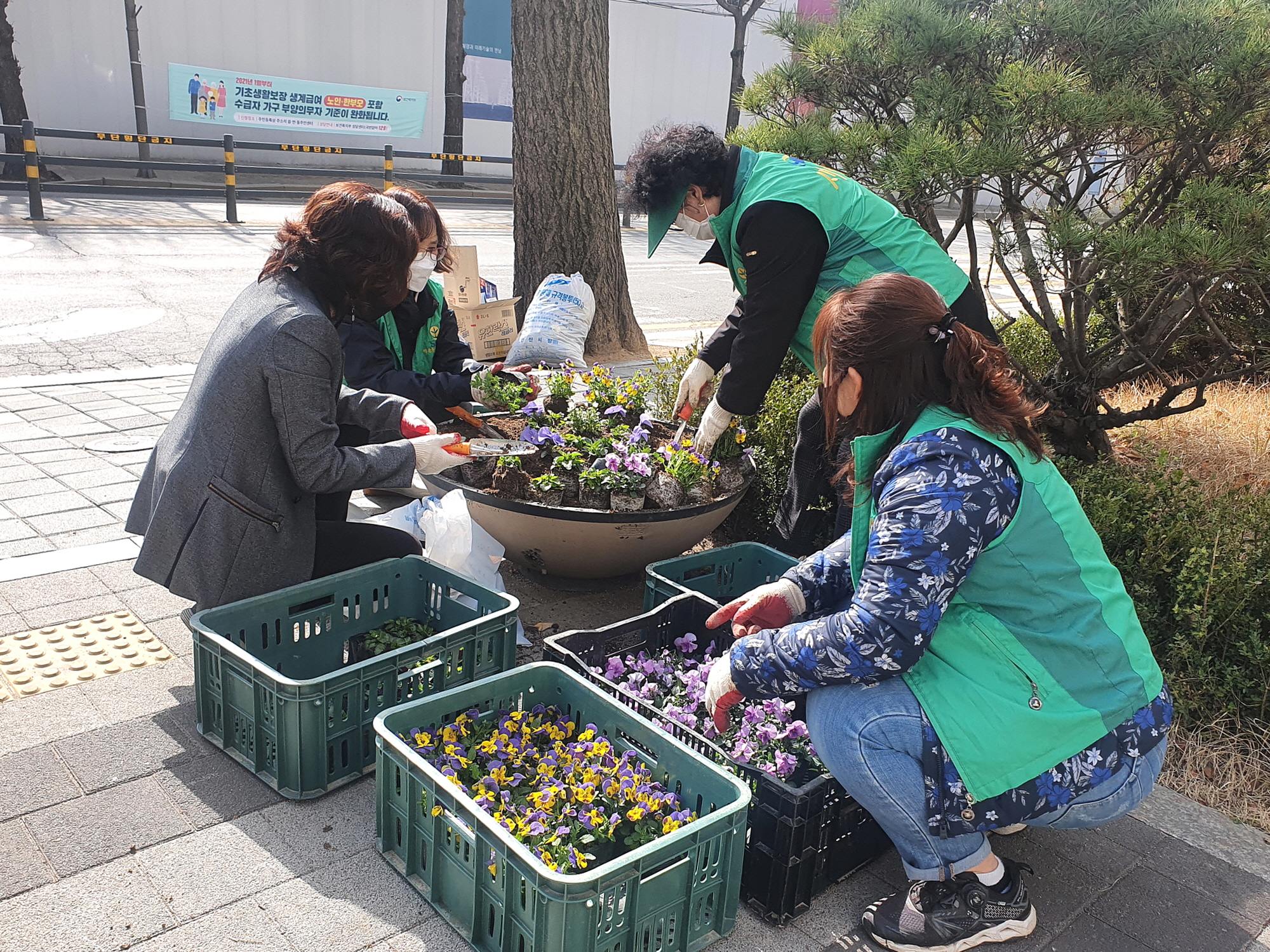 봄꽃 향기 가득한 백운동으로 오세요~!