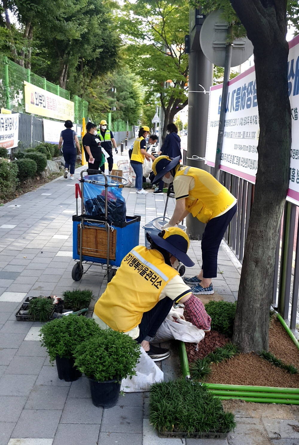 안산시 월피동 주민자치위원회, 꾸준한 꽃길 조성으로 주민 큰 호응