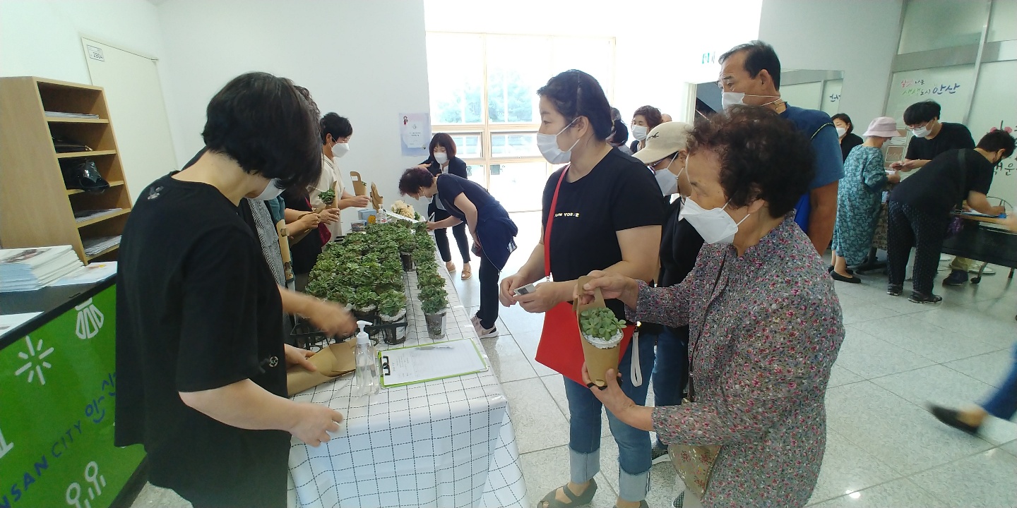안산시 백운동, 코로나19 극복 심리백신 ‘반려식물 나눔’
