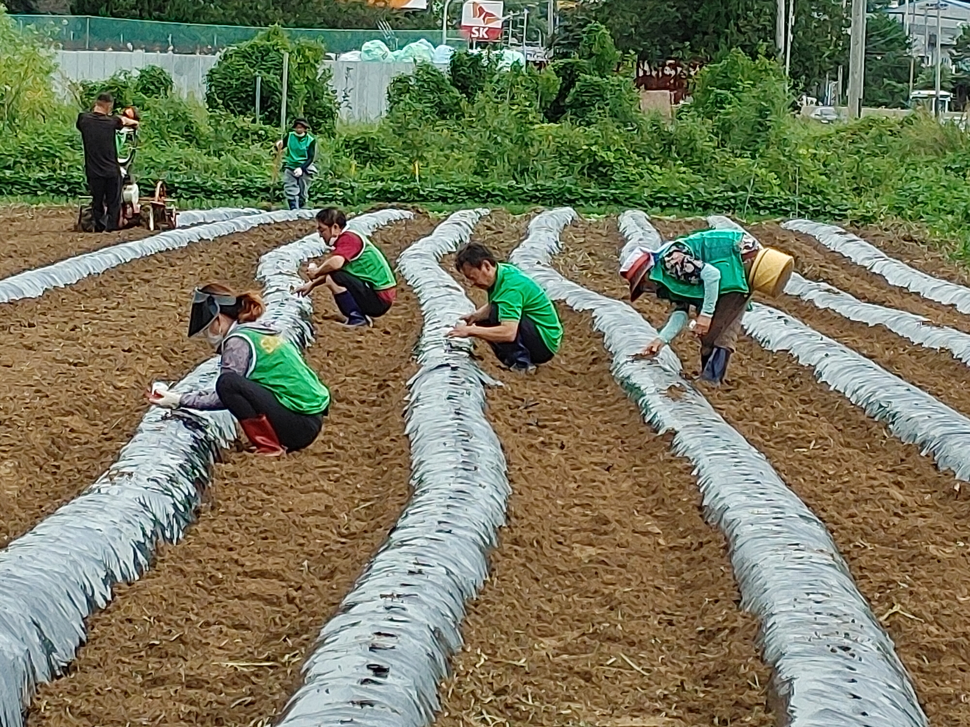안산시 안산동 새마을지도자협의회, 이웃사랑 김장나눔 준비 작업