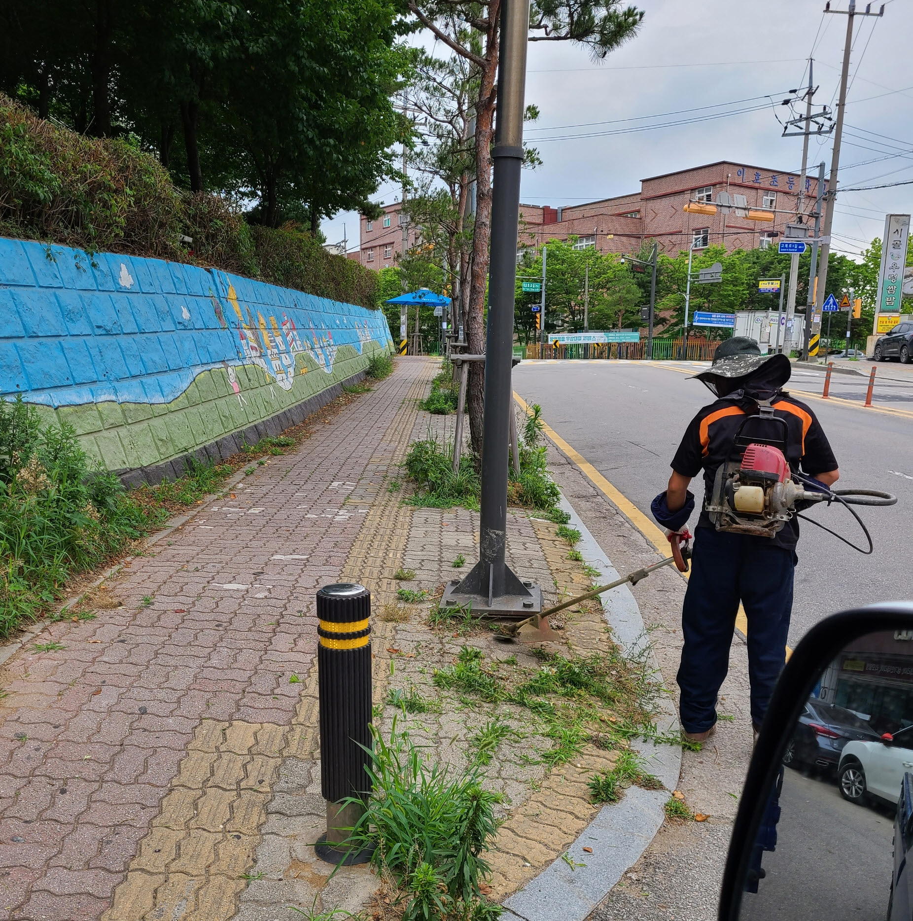 안산시 본오1동, 잡초 제거로 쾌적한 환경조성