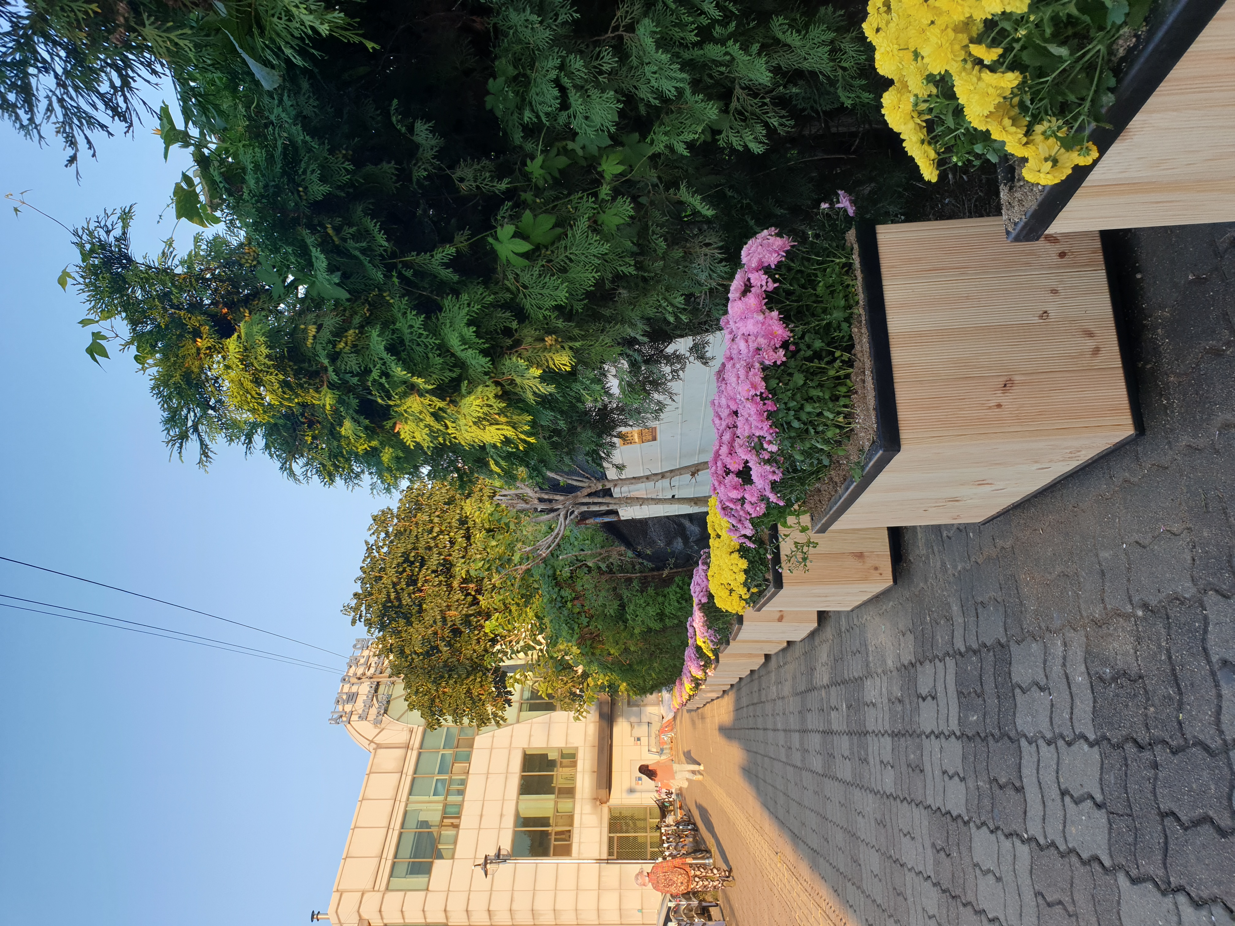 안산시 신길동, 신길온천역과 청사에 국화꽃 식재