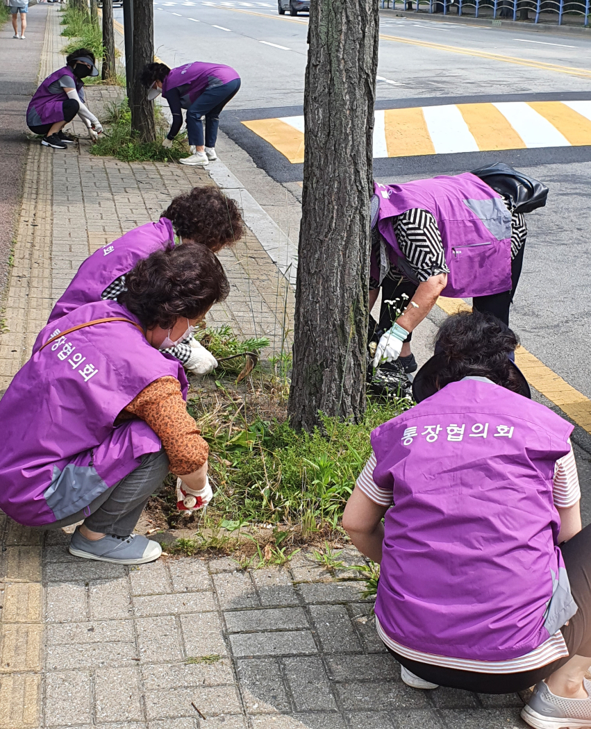 안산시 중앙동 통장협의회, 당곡로 일대 환경정화활동 추진