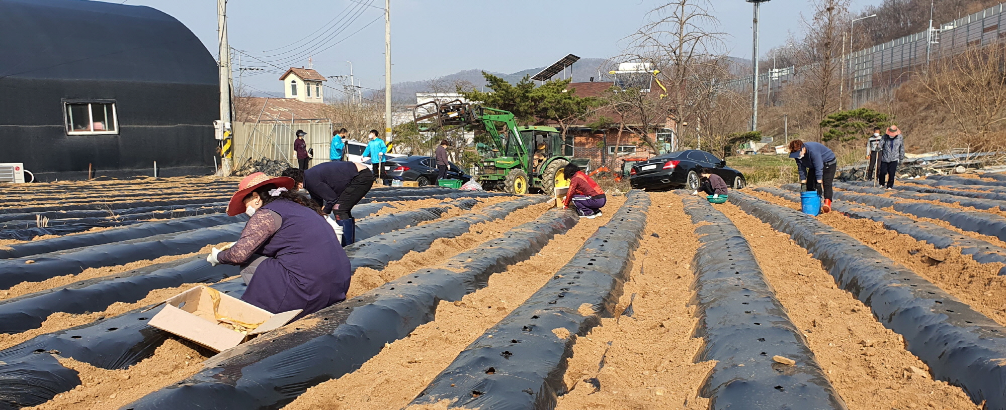안산시 부곡동 통장협의회, 사랑愛농장 감자심기