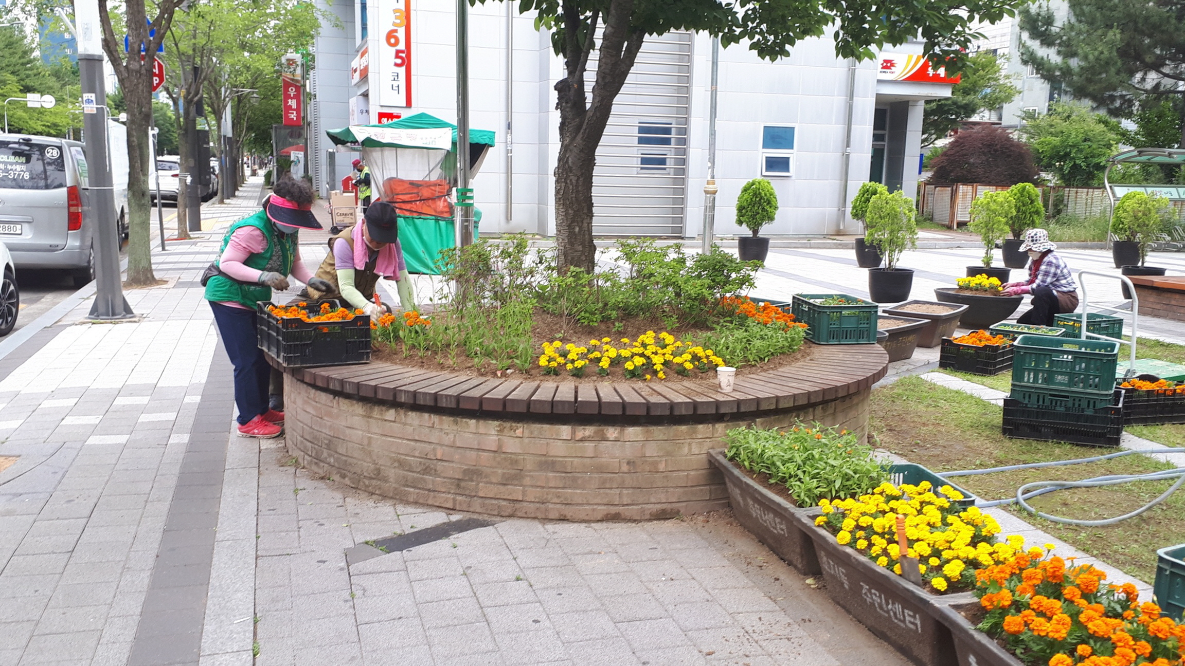 안산시 초지동, ‘푸름을 머금은 초지거리 조성사업’ 시작