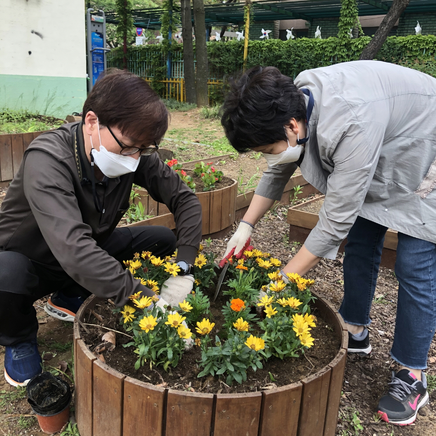 안산시 선부3동, “봄꽃으로 희망을 심어요”