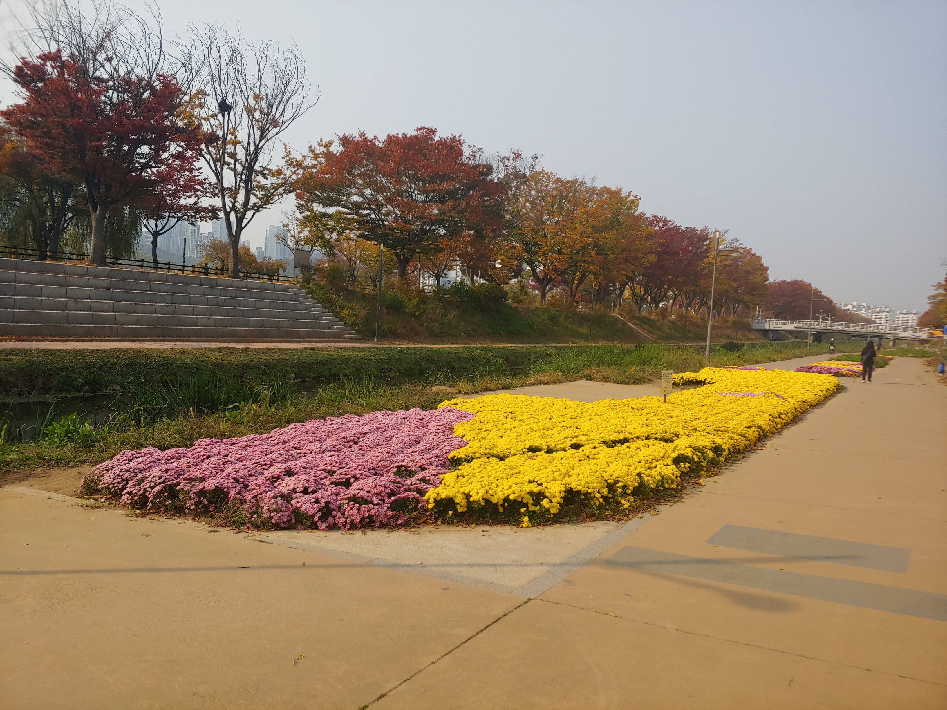 안산시, ‘가을맞이 초화류 식재운동’ 추진