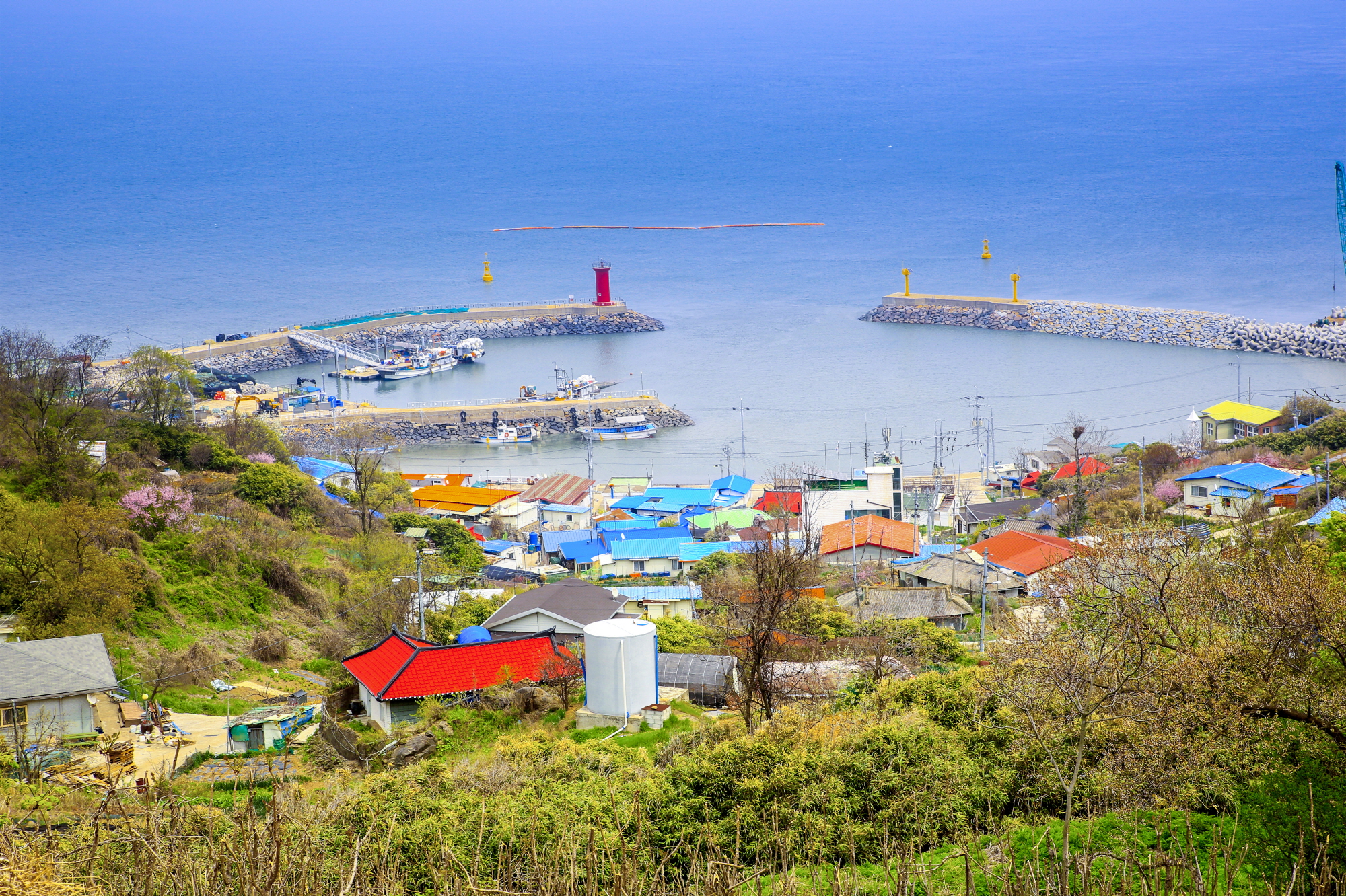 ‘정글의 법칙’이 반한 아름다운 생존지, 야생화 천국 안산 풍도