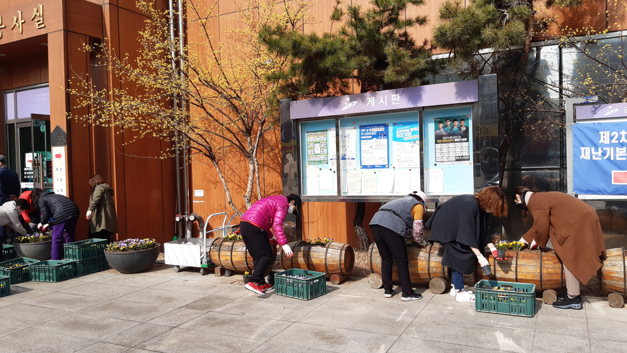 안산시 원곡동 청사 봄꽃 식재로 꽃향기 솔솔~~
