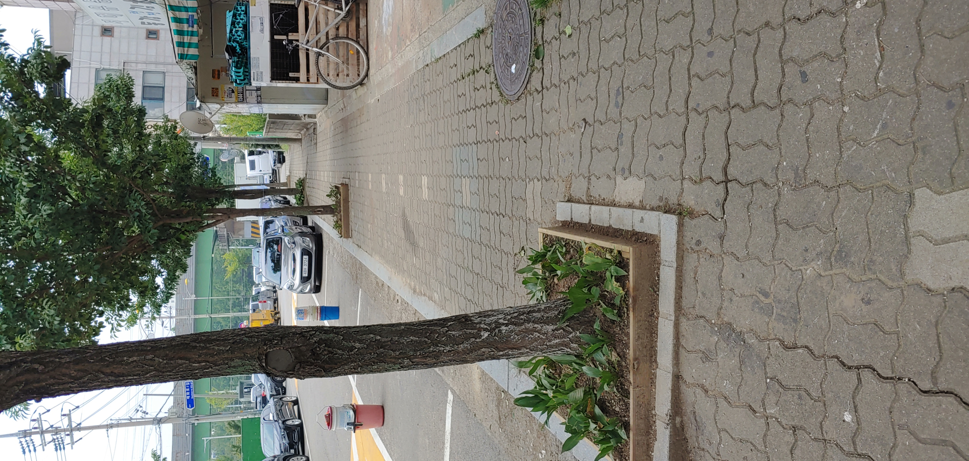 안산시 이동 매화향기주민협의회, 가로수 화단 조성