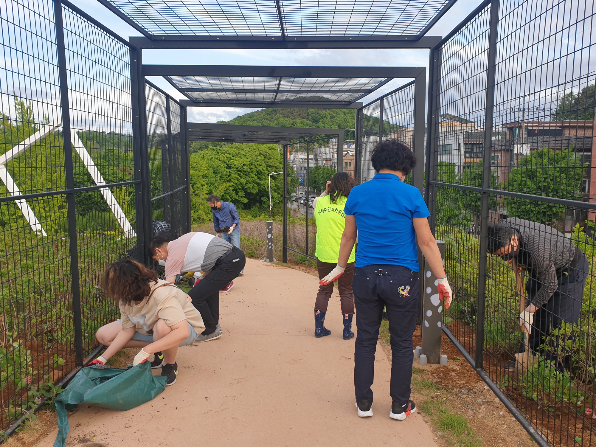 안산시 이동, 철쭉동산이 초록으로 옷을 입다